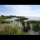 Am Ufer des Lake Albert in Meningie